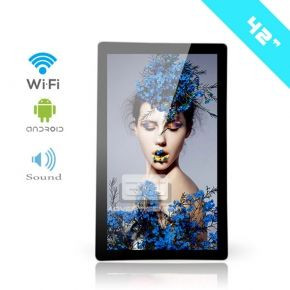 MÀN HÌNH LCD TREO TƯỜNG 42/43 INCH