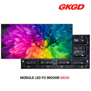 MODULE LED P2 IN GKGD